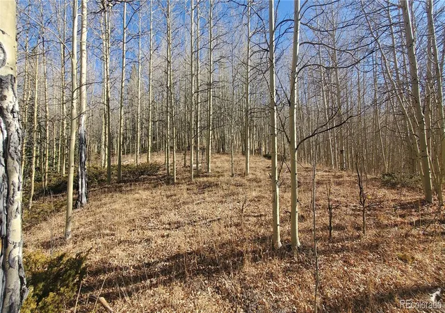 Photo 3 of Land for sale at Lot's 6414 & 6415 Bronfman Rd, Fort Garland, CO 81133 | MLS# 2592840 | Listing updated on 2025-12-30
