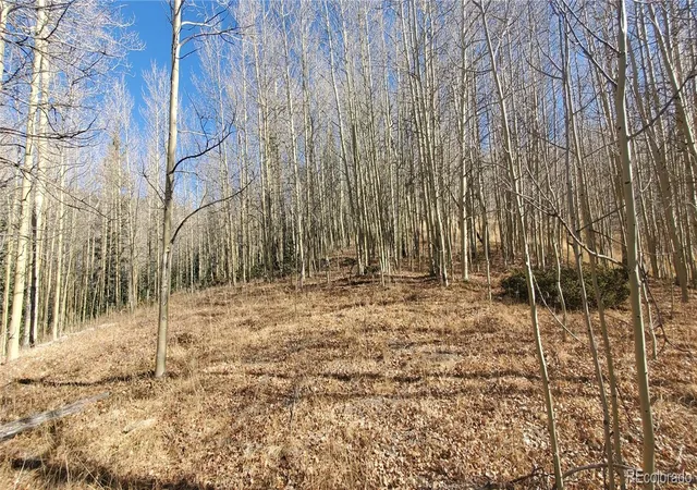 Photo 3 of Land for sale at Lot's 6414 & 6415 Bronfman Rd, Fort Garland, CO 81133 | MLS# 2592840 | Listing updated on 2025-12-30
