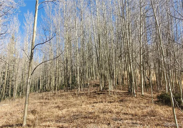 Photo 4 of Land for sale at Lot's 6414 & 6415 Bronfman Rd, Fort Garland, CO 81133 | MLS# 2592840 | Listing updated on 2025-12-30