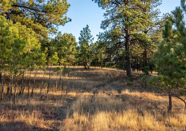 Photo 3 of Sale Pending at Woodhaven Ridge Rd, Parker, CO 80134 | MLS# 5599952 | Listing updated on 2026-09-02