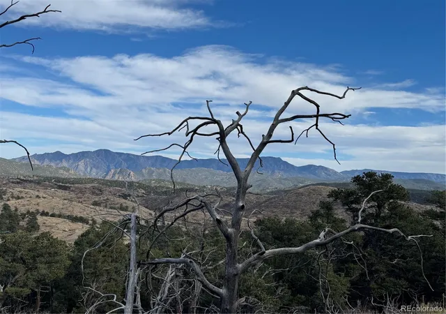 3rd image of 2926 E Path, Cotopaxi, CO 81223 | MLS# 7438310