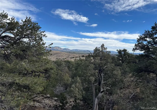 1st image of 2926 E Path, Cotopaxi, CO 81223 | MLS# 7438310