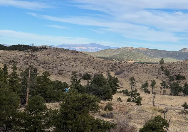 4th image of 2926 E Path, Cotopaxi, CO 81223 | MLS# 7438310