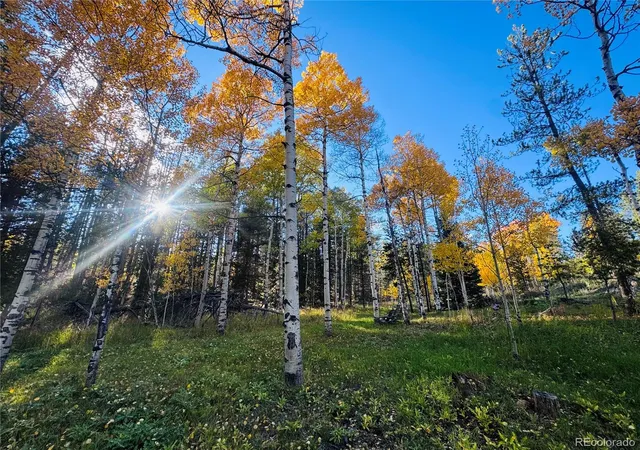 Photo 1 of Land for sale at Lot 216620 Indian Springs Rd, Conifer, CO 80433 | MLS# 1753197 | Listing updated on 2026-10-02