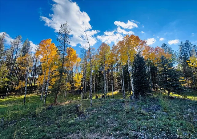 Photo 3 of Land for sale at Lot 216620 Indian Springs Rd, Conifer, CO 80433 | MLS# 1753197 | Listing updated on 2026-10-02