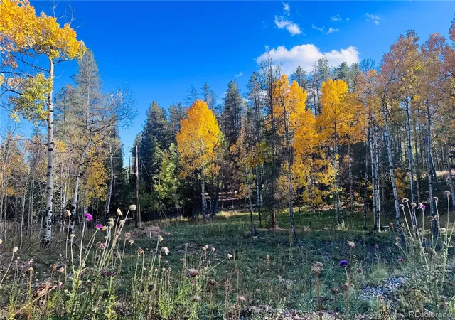 Photo 3 of Land for sale at Lot 216620 Indian Springs Rd, Conifer, CO 80433 | MLS# 1753197 | Listing updated on 2026-10-15