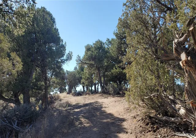 Homes for sale in Fort Garland, CO | Lot 7356 Bidwell Rd, Fort Garland, CO 81133 | MLS# 3902795