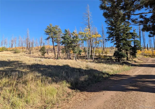 Homes for sale in Fort Garland, CO | 1207 Emery Loop, Fort Garland, CO 81133 | MLS# 6244520