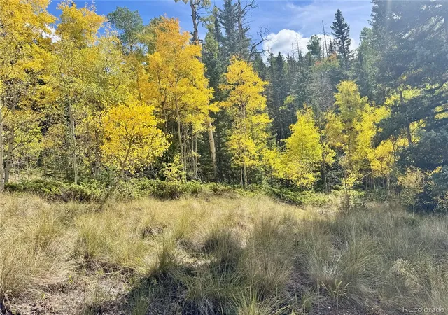 Photo 3 of Land for sale at Ryland Rd, San Luis, CO 81152 | MLS# 4720327 | Listing updated on 2026-09-22