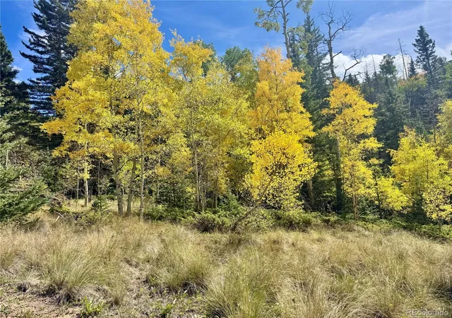 Photo 3 of Land for sale at Ryland Rd, San Luis, CO 81152 | MLS# 4720327 | Listing updated on 2026-09-22