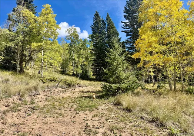 Photo 4 of Land for sale at Ryland Rd, San Luis, CO 81152 | MLS# 4720327 | Listing updated on 2026-09-22