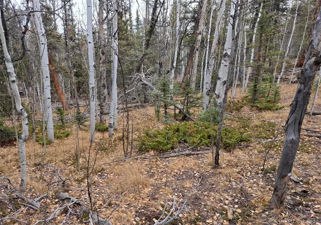 Photo 1 of Land for sale at 210 Tepee Trl, Jefferson, CO | MLS# 3473279 | Listing updated on 2026-09-17