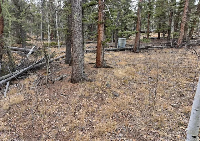 Photo 2 of Land for sale at 210 Tepee Trl, Jefferson, CO | MLS# 3473279 | Listing updated on 2026-09-17