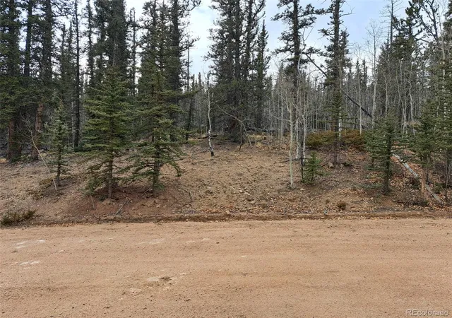 Photo 3 of Land for sale at 210 Tepee Trl, Jefferson, CO | MLS# 3473279 | Listing updated on 2026-09-17