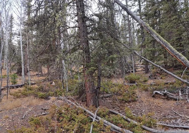 Photo 4 of Land for sale at 210 Tepee Trl, Jefferson, CO | MLS# 3473279 | Listing updated on 2026-09-17
