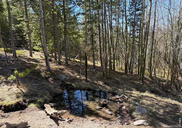 1st image of 0 Bear Gulch Rd, Red Feather Lakes, CO 80545 | MLS# IR1047103