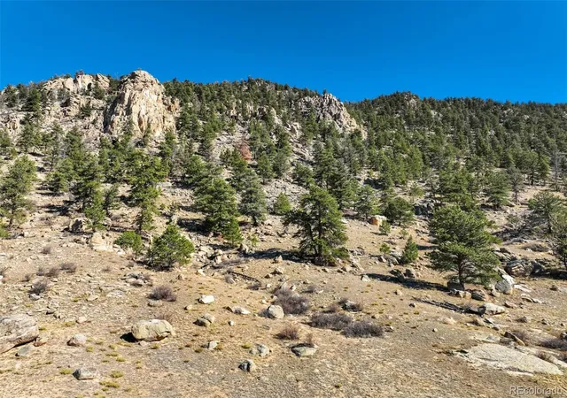 1st image of 0 Puma Hills Rd, Lake George, CO 80827 | MLS# 9815115