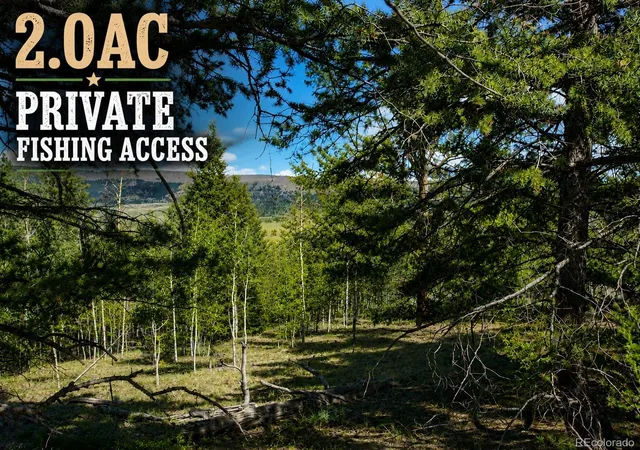 Photo 1 of Land for sale at 2381 Redhill Rd, Fairplay, CO 80440 | MLS# 9927827 | Listing updated on 2026-07-23