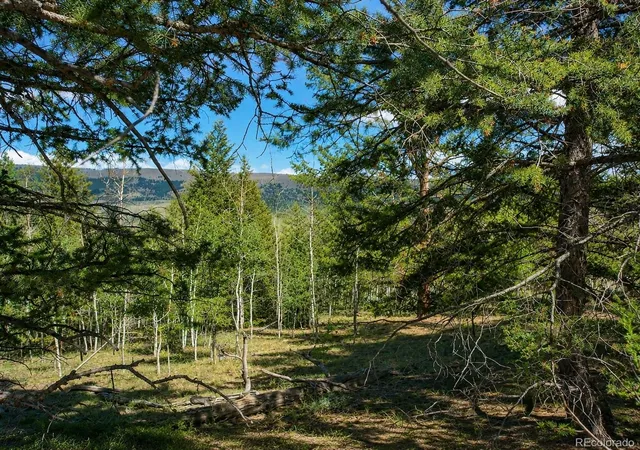 Homes for sale in Fairplay, CO | 2381 Redhill Rd, Fairplay, CO 80440 | MLS# 9927827