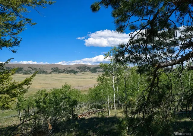 Homes for sale in Fairplay, CO | 2381 Redhill Rd, Fairplay, CO 80440 | MLS# 9927827