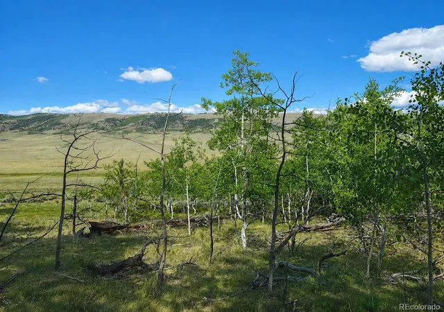 Homes for sale in Fairplay, CO | 2381 Redhill Rd, Fairplay, CO 80440 | MLS# 9927827