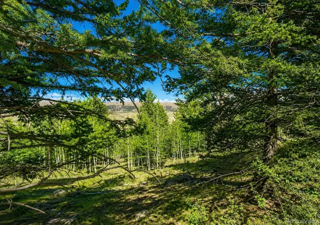 Homes for sale in Fairplay, CO | 2381 Redhill Rd, Fairplay, CO 80440 | MLS# 9927827