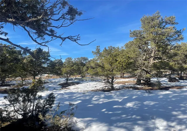 Photo 5 of Land for sale at 1195 Hilltop Way, Crestone, CO 81131 | MLS# 9435362 | Listing updated on 2025-12-11