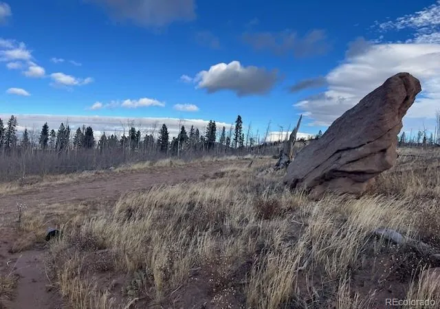 Photo 1 of Land for sale at Lot 2544 Petito Dr, Fort Garland, CO 81133 | MLS# 7980096 | Listing updated on 2026-09-17