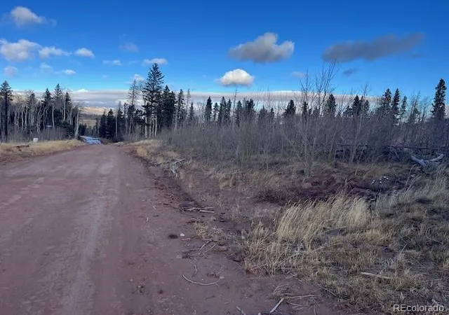 Photo 3 of Land for sale at Lot 2544 Petito Dr, Fort Garland, CO 81133 | MLS# 7980096 | Listing updated on 2026-09-17