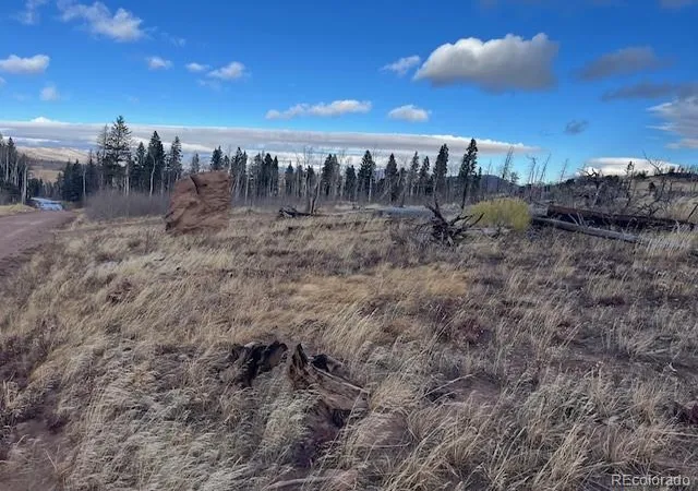 Photo 3 of Land for sale at Lot 2544 Petito Dr, Fort Garland, CO 81133 | MLS# 7980096 | Listing updated on 2026-09-17