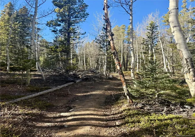 Photo 3 of Sale Pending at 235 Willow Ln, Alma, CO | MLS# 7529245 | Listing updated on 2026-09-10
