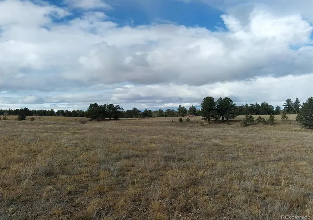 Homes for sale in Buena Vista, CO | 0 Singletree Rd, Buena Vista, CO 81211 | MLS# 7886163