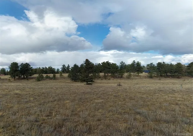 Homes for sale in Buena Vista, CO | 0 Singletree Rd, Buena Vista, CO 81211 | MLS# 7886163