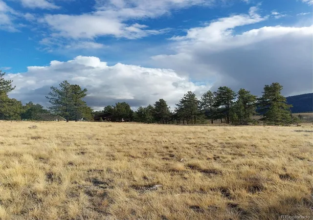 Homes for sale in Buena Vista, CO | 0 Singletree Rd, Buena Vista, CO 81211 | MLS# 7886163