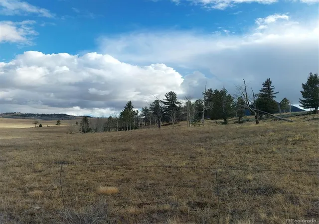 Homes for sale in Buena Vista, CO | 0 Singletree Rd, Buena Vista, CO 81211 | MLS# 7886163