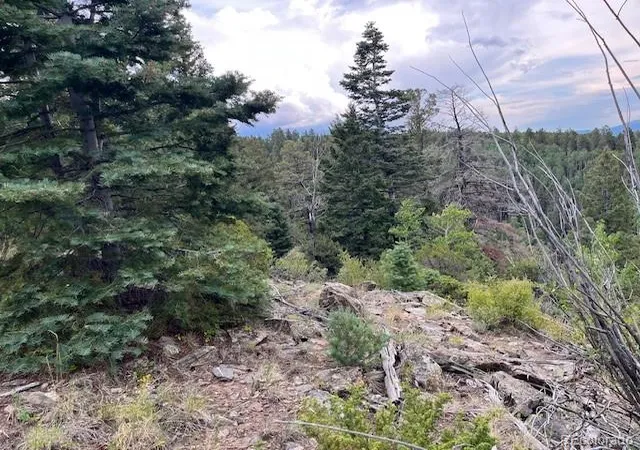 Photo 1 of Land for sale at Lot 6184 Ryland Rd, San Luis, CO 81152 | MLS# 5691326 | Listing updated on 2025-11-24