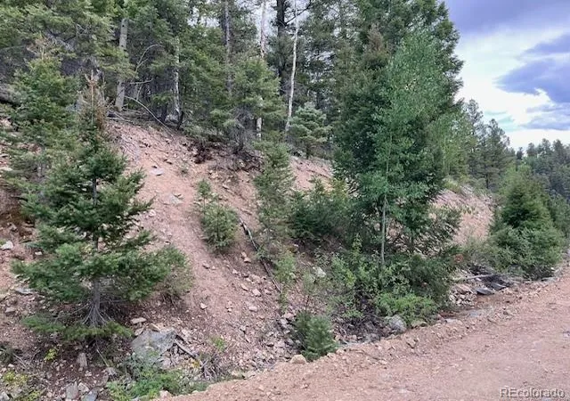 Photo 2 of Land for sale at Lot 6184 Ryland Rd, San Luis, CO 81152 | MLS# 5691326 | Listing updated on 2025-11-24