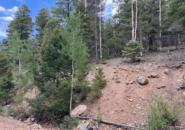 Photo 3 of Land for sale at Lot 6184 Ryland Rd, San Luis, CO 81152 | MLS# 5691326 | Listing updated on 2025-11-24