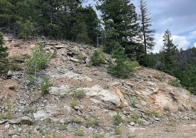 Photo 5 of Land for sale at Lot 6184 Ryland Rd, San Luis, CO 81152 | MLS# 5691326 | Listing updated on 2025-11-24