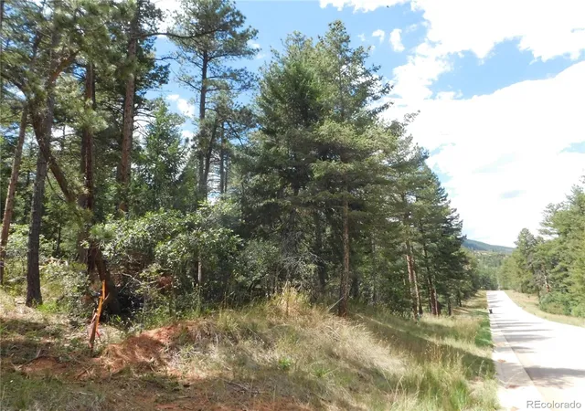 4th image of 8139 Bannock Dr, Larkspur, CO 80118 | MLS# 8007289