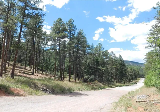 48th image of 8139 Bannock Dr, Larkspur, CO 80118 | MLS# 8007289