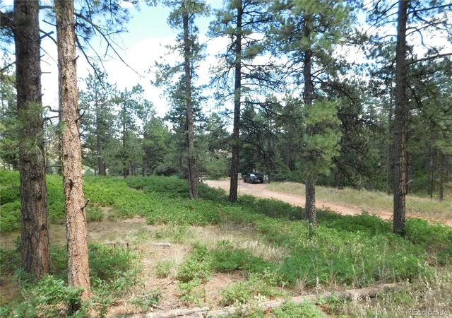 3rd image of 8055 Acoma Dr, Larkspur, CO 80118 | MLS# 2385284