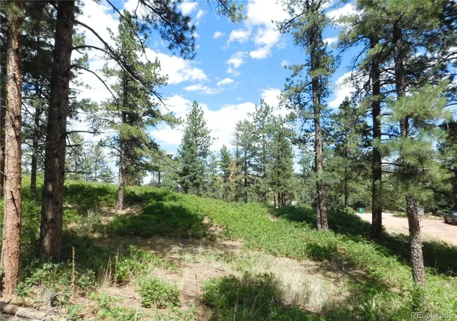 4th image of 8055 Acoma Dr, Larkspur, CO 80118 | MLS# 2385284