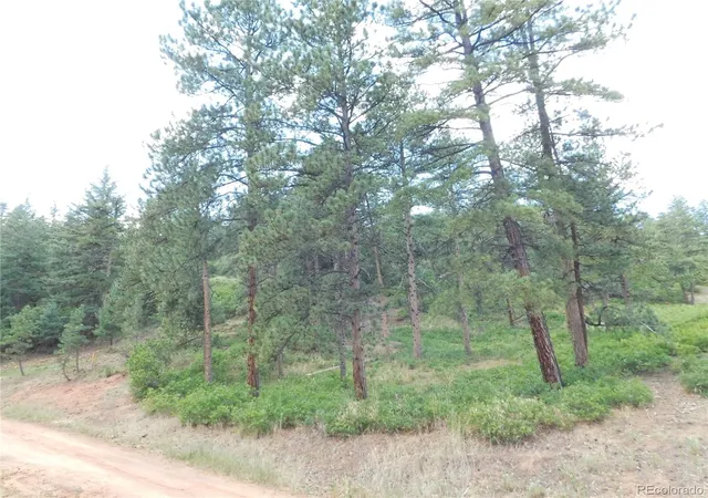 46th image of 8055 Acoma Dr, Larkspur, CO 80118 | MLS# 2385284