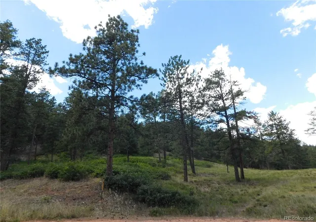 5th image of 8055 Acoma Dr, Larkspur, CO 80118 | MLS# 2385284