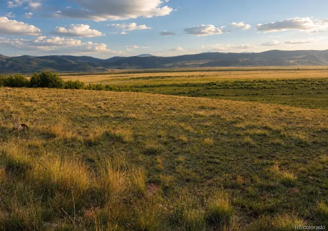 Photo 10 of Land for sale at 1327 Michigan Hl Rd, Jefferson, CO 80456 | MLS# 2377492 | Listing updated on 2026-07-22