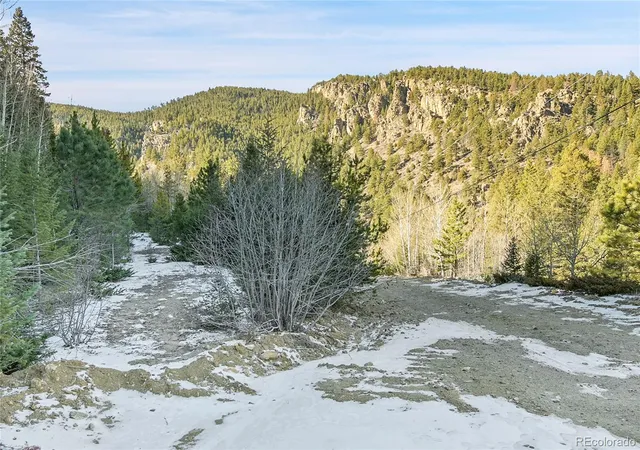 Homes for sale in Evergreen, CO | Clear Creek Rd Rd, Evergreen, CO 80439 | MLS# 5002222