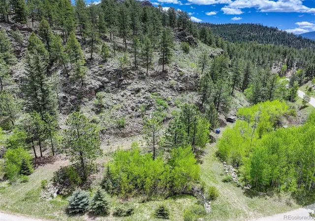 Homes for sale in Bailey, CO | 400 Crow Valley Rd, Bailey, CO 80421 | MLS# 9386904