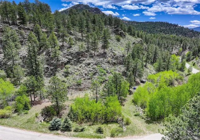Homes for sale in Bailey, CO | 400 Crow Valley Rd, Bailey, CO 80421 | MLS# 9386904