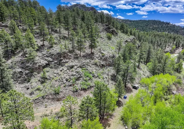 Homes for sale in Bailey, CO | 400 Crow Valley Rd, Bailey, CO 80421 | MLS# 9386904